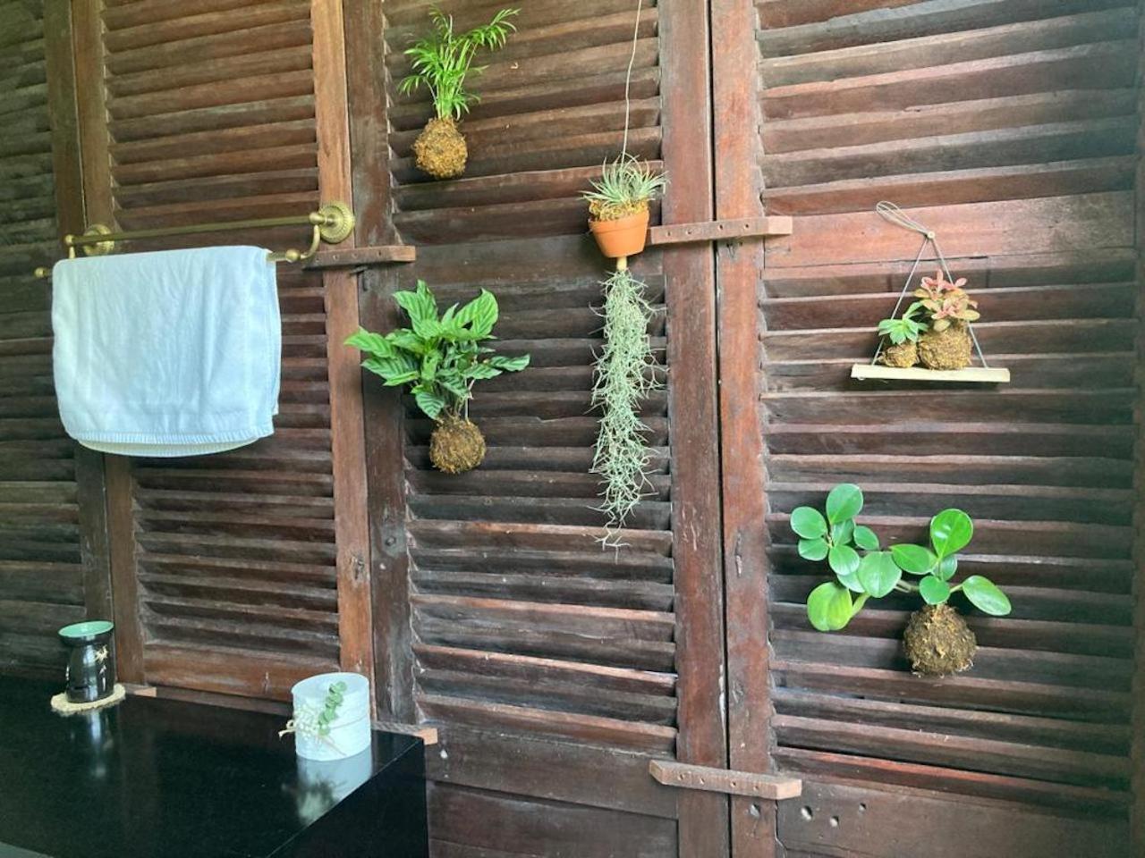הוי אן La Maison D'Indochine מראה חיצוני תמונה